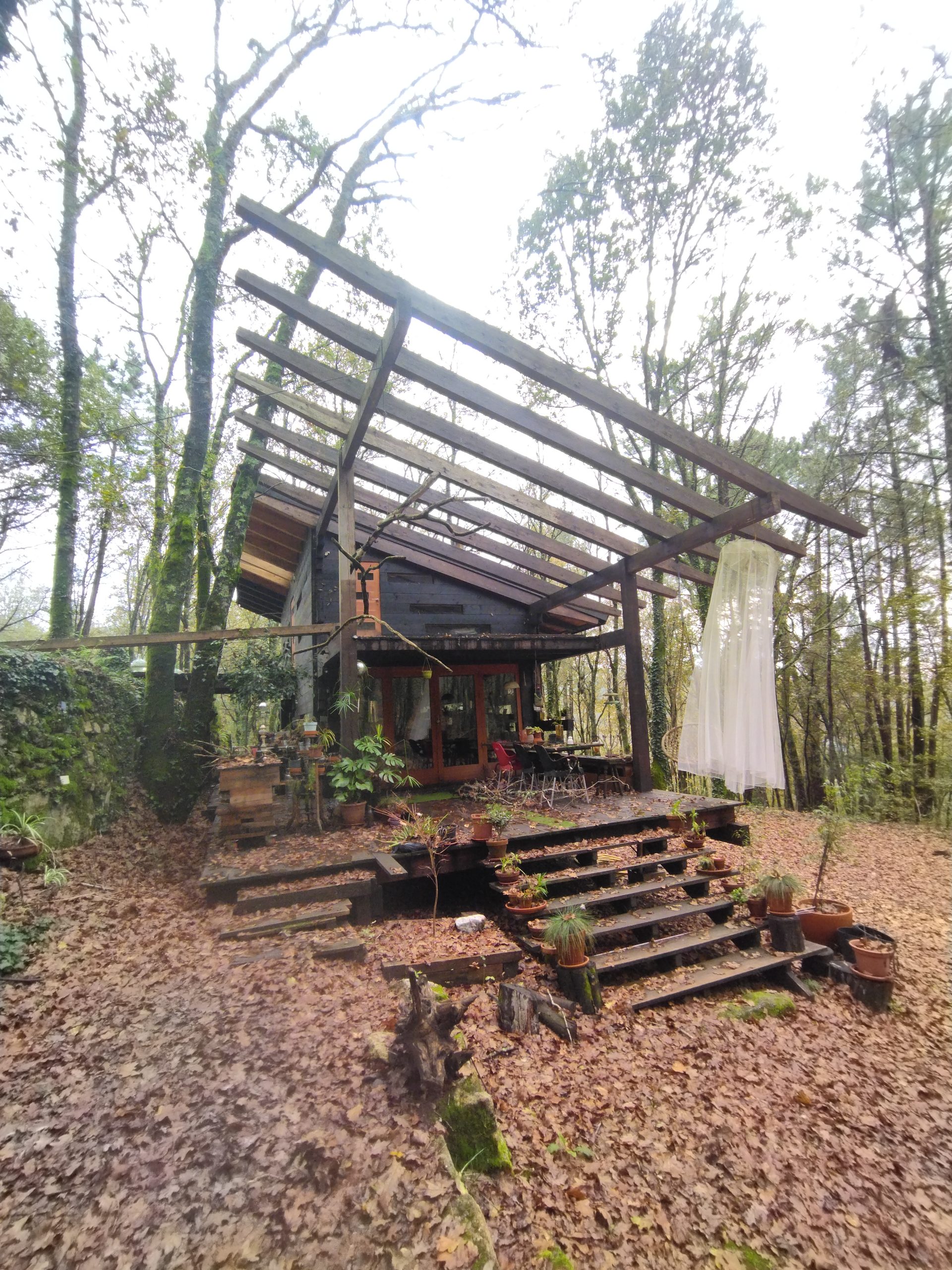 Cabaña de madera en la carballeira